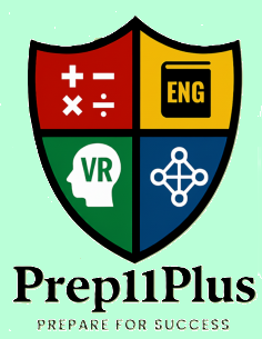 Prep11+Plus Logo